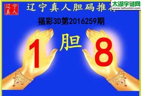 辽宁真人胆码图16259期