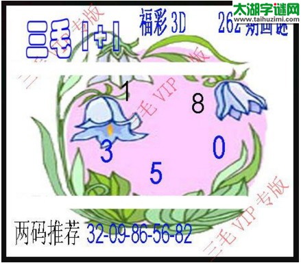 3d262期：3d三毛图库汇总