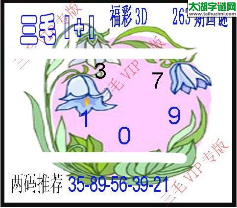 3d263期：3d三毛图库汇总