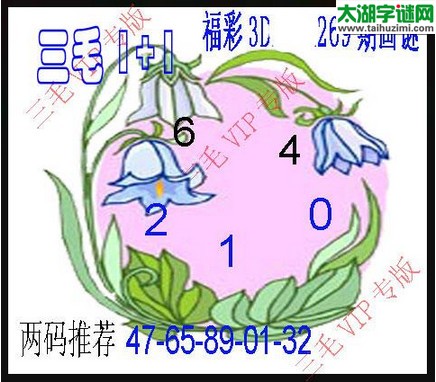 3d269期：3d三毛图库汇总