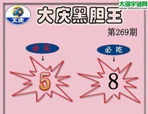 大庆黑胆王图16269期