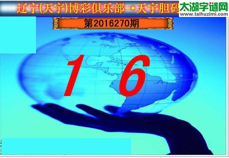 天宇图谜第2016270期胆码图