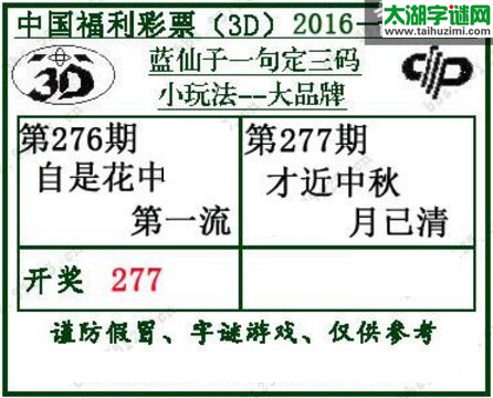 蓝仙子一句定三码16277期