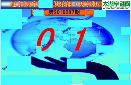 天宇图谜第2016287期胆码图