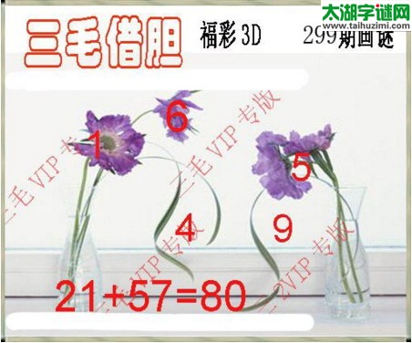 3d299期：3d三毛图库汇总