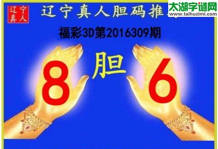 辽宁真人胆码图16309期