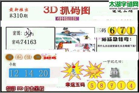 3d310期：红五3d图库总汇（幸运五码）