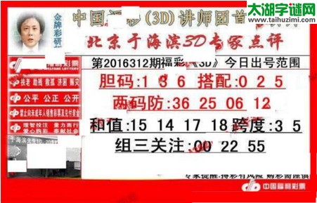 于海滨专家点评16312期