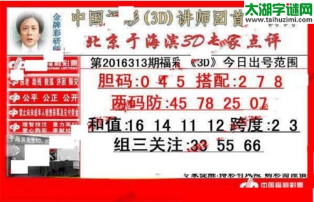 于海滨专家点评16313期