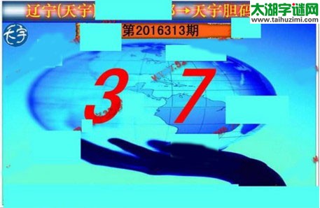 天宇图谜第2016313期胆码图