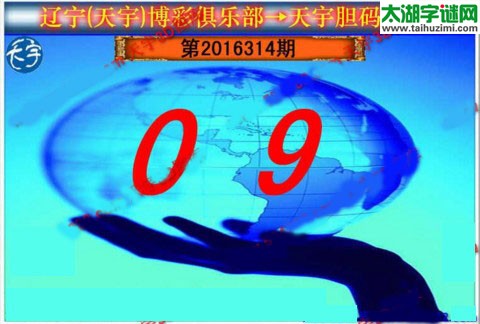 天宇图谜第2016314期胆码图