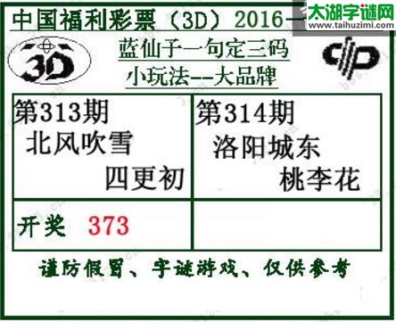 蓝仙子一句定三码16314期