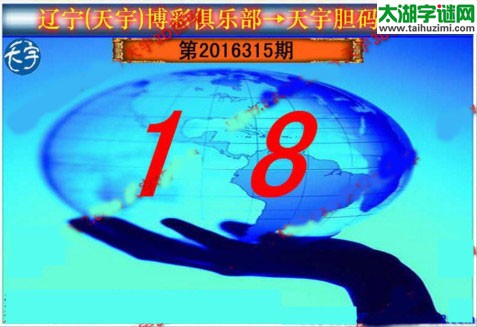 天宇图谜第2016315期胆码图