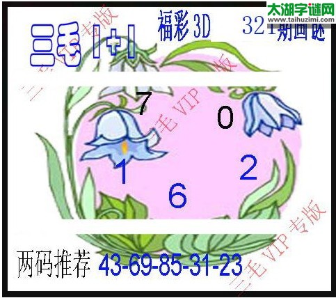 3d321期：3d三毛图库汇总