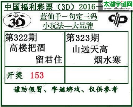 蓝仙子一句定三码16323期