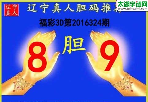 辽宁真人胆码图16324期