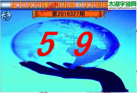 天宇图谜第2016327期胆码图