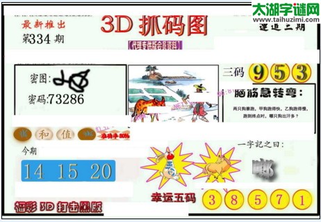 3d334期：红五3d图库总汇（复式定位）