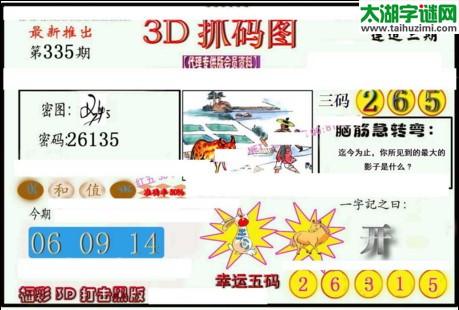 3d335期：红五3d图库总汇（复式定位）