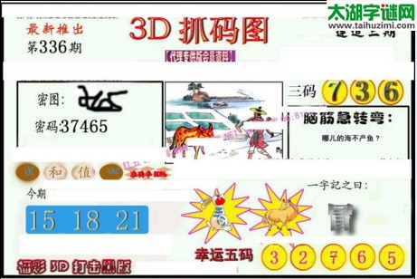 3d336期：红五3d图库总汇（复式定位）