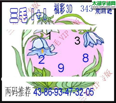 3d343期：3d三毛图库汇总