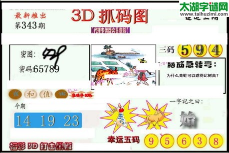 3d343期：红五3d图库总汇（复式定位）