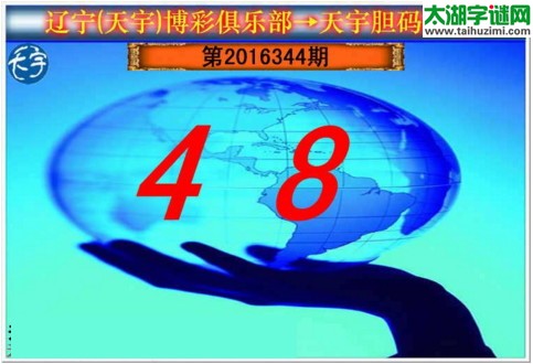 天宇图谜第2016344期胆码图