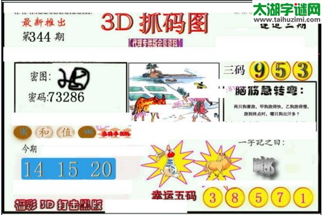 3d344期：红五3d图库总汇（复式定位）