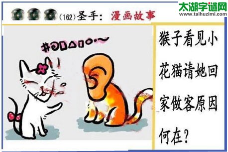 黑圣手漫画故事图谜第17162期