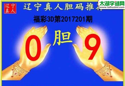 辽宁真人胆码图17201期