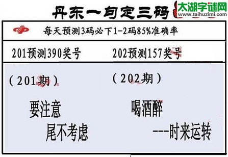 3d第2017202期丹东一句定三码