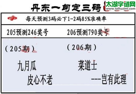 3d第2017206期丹东一句定三码