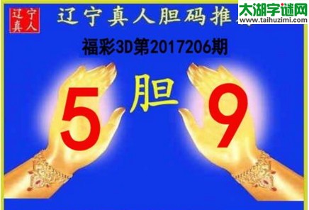 辽宁真人胆码图17206期