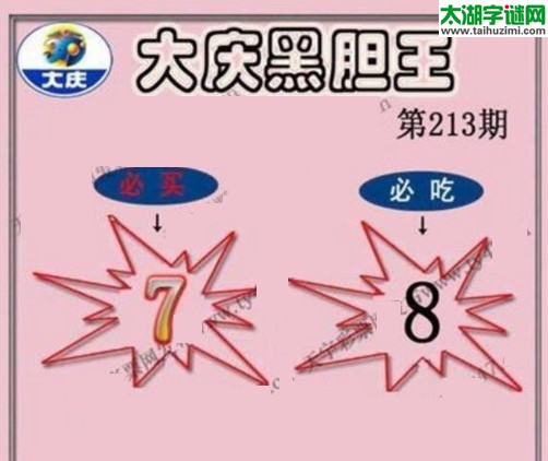 大庆黑胆王图17213期