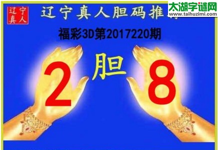 辽宁真人胆码图17220期