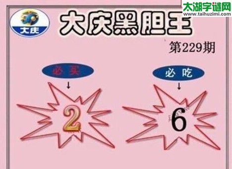 大庆黑胆王图17229期