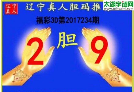 辽宁真人胆码图17234期