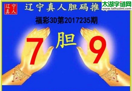 辽宁真人胆码图17235期