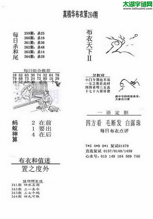 3d布衣天下图谜2017264期