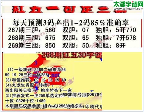 3d红五图库玄机图第2017269期