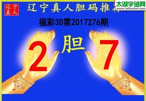 辽宁真人胆码图17276期