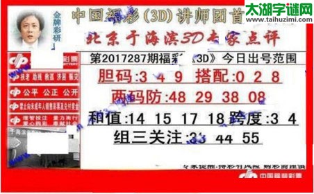 于海滨专家点评17287期