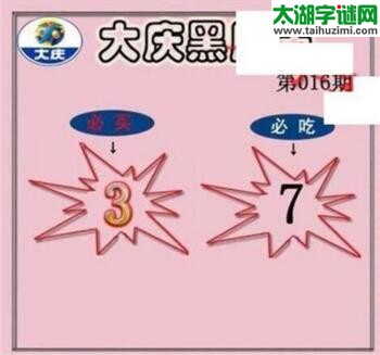 3d016期：大庆黑胆王全图+一语真言