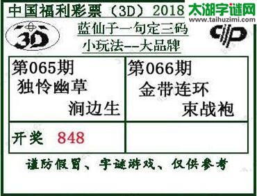 蓝仙子一句定三码18066期