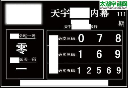 3d111期：天宇一句定三码+胆码图