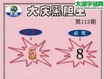 大庆黑胆王图18113期