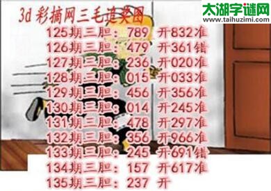 3d135期:三毛追奖图+三毛藏机图