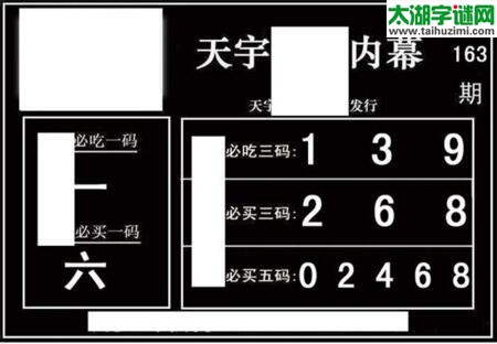 3d163期：天宇一句定三码+胆码图