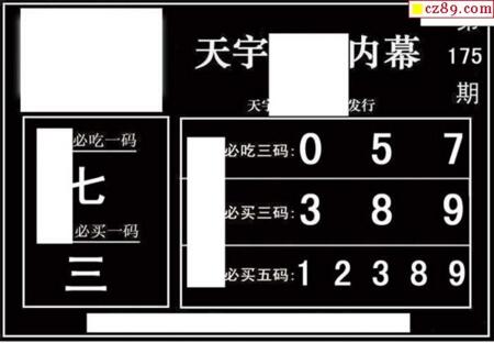 3d175期：天宇一句定三码+胆码图