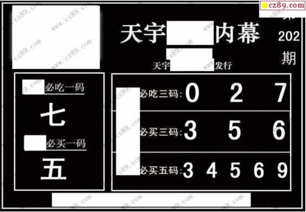 3d202期：天宇一句定三码+胆码图